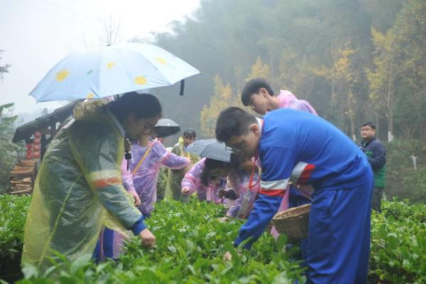 秦谷田园之桃源茶农